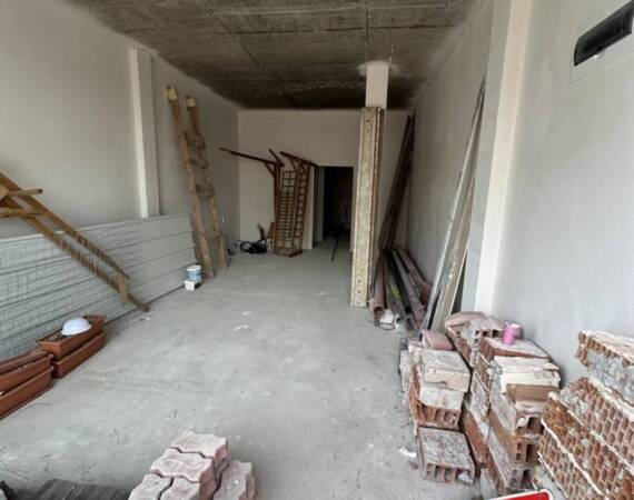 renovatsiya predi